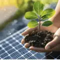 The Environmental Benefits of Switching to Solar Energy